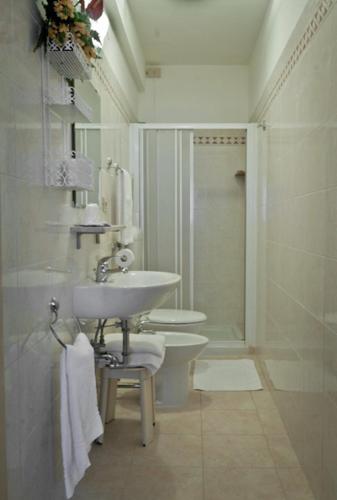 a bathroom with a sink and a toilet and a shower at Hotel Florida in Venice