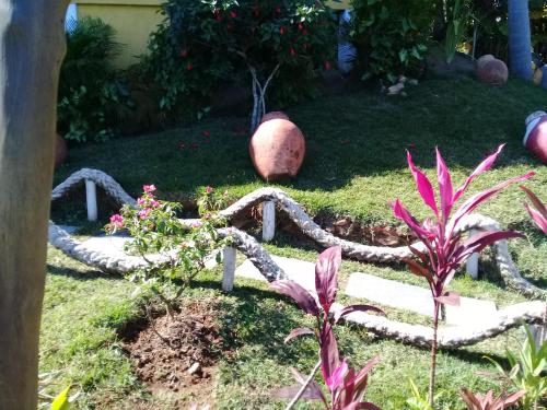 a garden with a rope around a plant at Vila Lia in São Sebastião