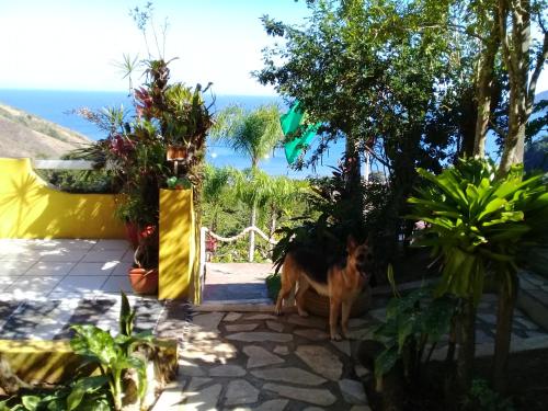 a dog sitting on a patio with plants at Vila Lia in São Sebastião