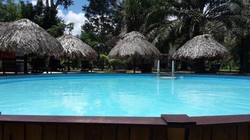 Swimmingpoolen hos eller tæt på De Plantage