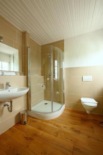 a bathroom with a shower and a sink and a toilet at Weingut Harald Konrad Fehres in Brauneberg