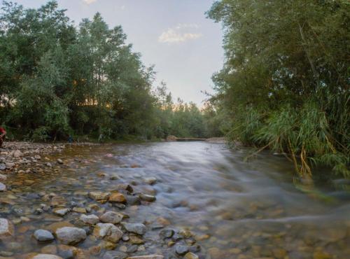 a river with rocks and trees on the side at Riad Des Vieilles Charrues in Boumalne
