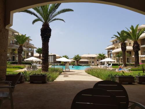 un palmier installé à côté d'une piscine dans l'établissement Plage Des Nations Golf Resort, à Sidi Bouqnadel