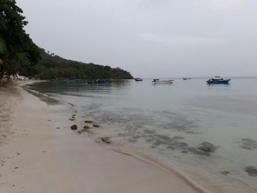 a beach with some boats in the water at Posada Miss Portia in Providencia
