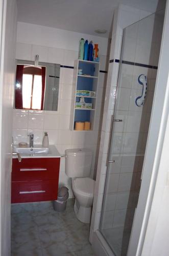 une salle de bain avec toilettes, lavabo et douche dans l'établissement Studio Au Millésime, à Riquewihr