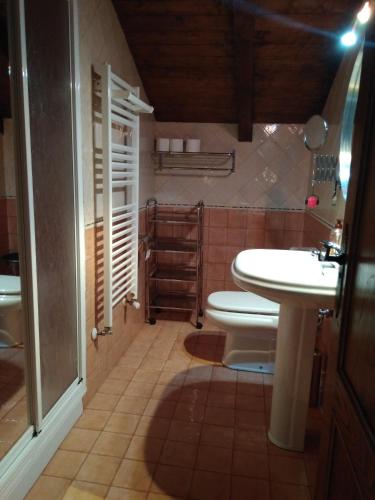 a bathroom with a toilet and a sink at Apartamentos Rurales Casa Cachon in Santa Eulalia de Cueras