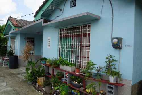 a house with potted plants on the side of it at Tong He Ren Jia Homestay in Qigu