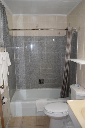 a bathroom with a tub and a toilet and a sink at Economy Inn in Taylorville