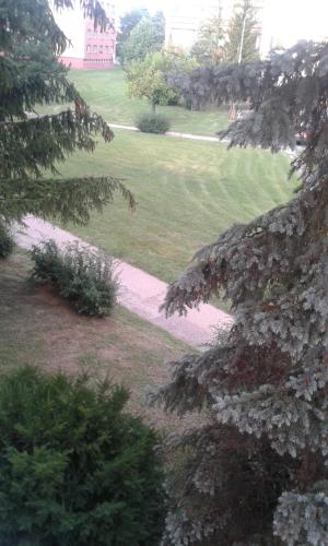 a view of a park with a tree with white flowers at Apartman Ortenova 74 in Kutná Hora
