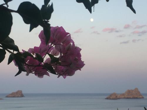 Φυσικό τοπίο κοντά σε αυτή η παραθεριστική κατοικία