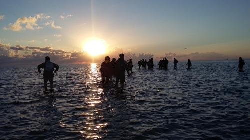 a group of people standing in the water at sunset at Countryside Eco Natuurhuisjes in Ee