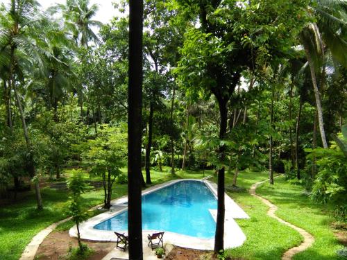 Swimming pool sa o malapit sa Botanique Goa