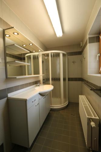 uma casa de banho com um chuveiro, um lavatório e um espelho. em Apartments Tabor43 em Cerknica