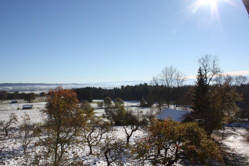 a snowy field with trees and the sun in the sky at Schatzbergalm Pension in Dießen am Ammersee