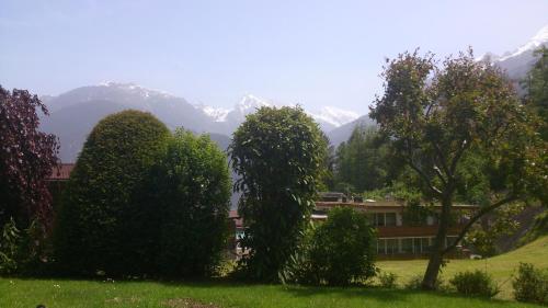 a group of trees in a field with mountains in the background at Landhaus Maria in Finkenberg