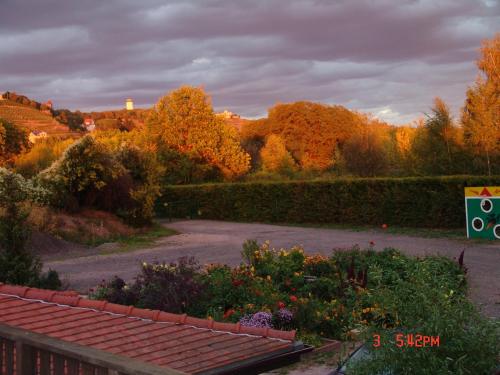 einen Garten mit Herbstbäumen im Hintergrund in der Unterkunft Ferienwohnung Mitko in Radebeul