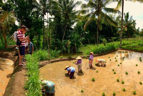 a group of people playing in the water with plants at Mu Homestay in Tetebatu