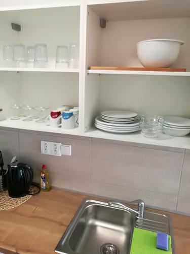 a kitchen with a sink and plates on shelves at Haas Apartments Downtown with Parking in Brno