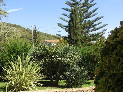 a palm tree in a garden with plants at Arenosu Comfort Country Guesthouse in Fertilia