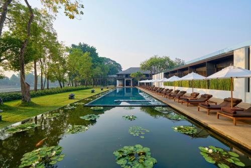 a swimming pool with chairs and lilies in the water at Anantara Chiang Mai Resort in Chiang Mai