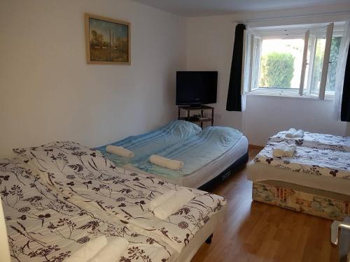 a bedroom with two beds and a tv and a window at Feszty-fészek Vendégház in Tiszafüred
