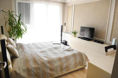 Televisyen dan/atau pusat hiburan di Panorama Penthouse Siófok