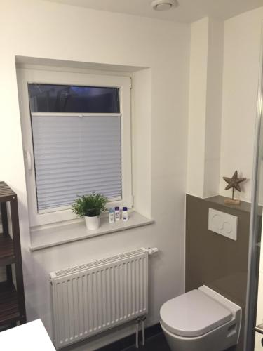 シャルボイツにあるFerienwohnung mit Seeblickのバスルーム(トイレ付)、窓が備わります。