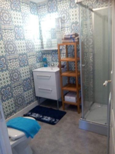 une salle de bain avec une douche, des toilettes et un lavabo dans l'établissement La Tourelle en Normandie, à Saint-Pierre-Église