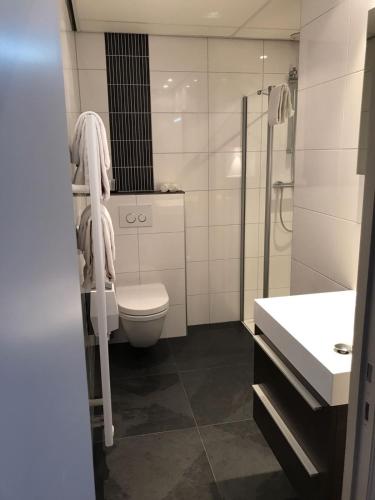 a bathroom with a toilet and a shower and a sink at De Eenhoorn in Oostburg