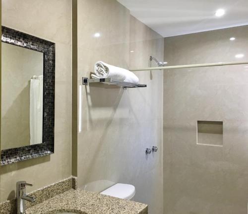 Ванная комната в Hotel del Valle
