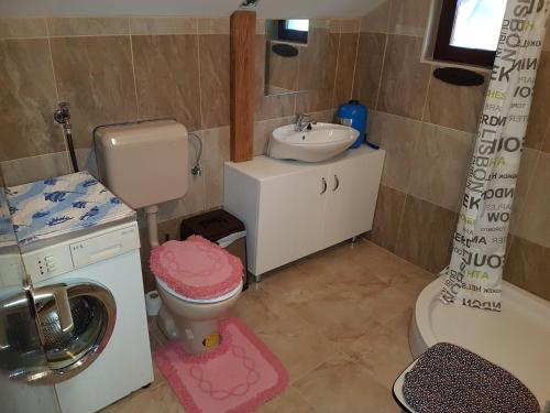 a small bathroom with a sink and a toilet at Apartment Labud in Legrad