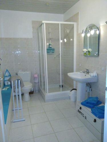 une salle de bain avec une douche, des toilettes et un lavabo dans l'établissement la Tourelle en Normandie, à Saint-Pierre-Église