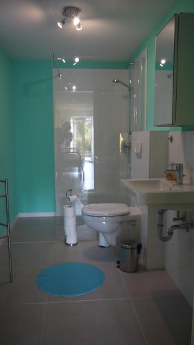 bagno con servizi igienici e lavandino di Studio im Haus in Seenähe a Reinfeld
