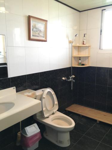 a bathroom with a toilet and a sink at manor in Houli