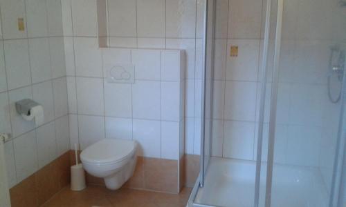 ハインツェンベルクにあるRanerhofのバスルーム(トイレ、シャワー付)