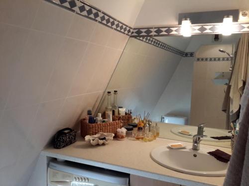 y baño con lavabo y espejo. en Chambre d'Hôte Ti coin Tranquille, en Saint-Leu