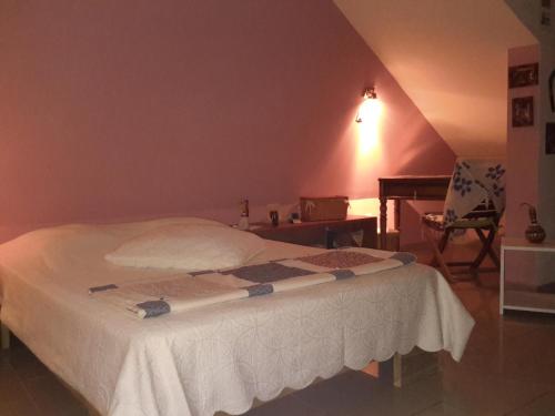 1 dormitorio con 1 cama, 1 mesa y 1 silla en Chambre d'Hôte Ti coin Tranquille, en Saint-Leu