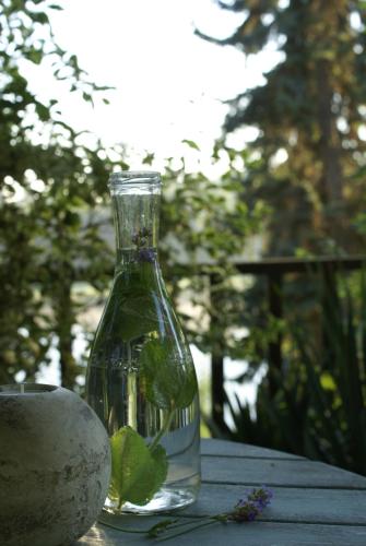 a bottle of water sitting on top of a table at Villa Letná in Brandýs nad Labem-Stará Boleslav
