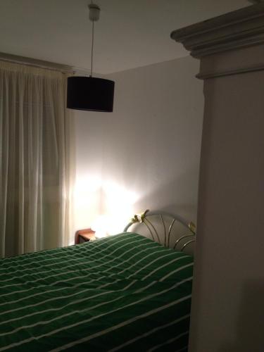 una camera con un letto e una coperta verde di Rue Du Four a Marcigny