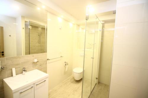 a bathroom with a toilet and a sink and a shower at Garni Hotel Mlinarev san in Arilje