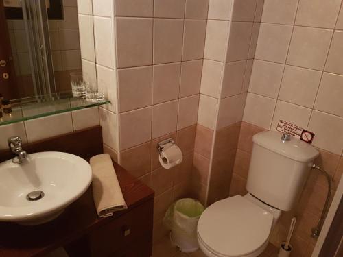 a bathroom with a white toilet and a sink at Yiannis Apartments in Ioannina