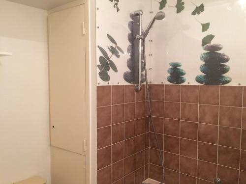 La salle de bains est pourvue d'une douche avec des plantes vertes sur le mur. dans l'établissement Appartement vue sur lac, à Gérardmer