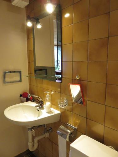 La salle de bains est pourvue d'un lavabo, d'un miroir et de toilettes. dans l'établissement Studio-Ferienwohnung Hans Fässler, à Appenzell