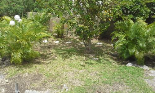 a garden with trees and grass and a fence at A Home Away from Home in Saint Michael
