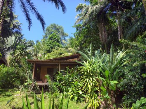 a small house in the middle of a forest at Dendê Loft in Ilha de Boipeba