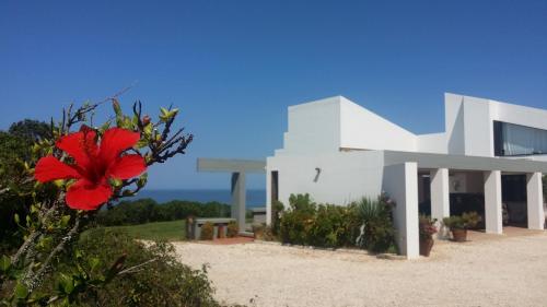 a white house with a red flower in front of it at Herdade Amália in Zambujeira do Mar