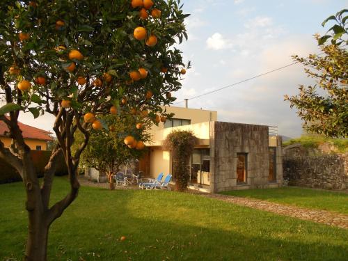 an orange tree in front of a house at Casa do Murungal in Vila Praia de Âncora