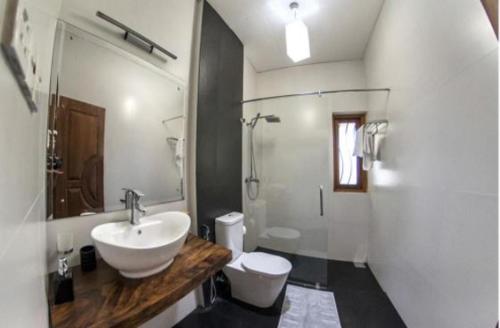 a bathroom with a sink and a toilet and a shower at Coco Villa Peach Tree in Katunayaka