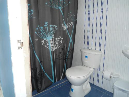 Ένα μπάνιο στο Roxi's Place