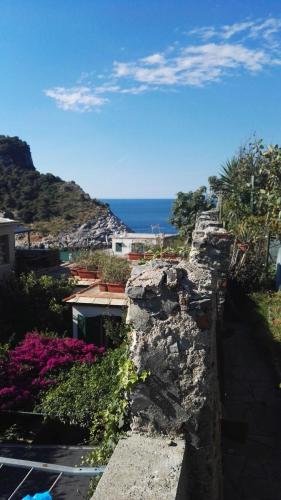 Φυσικό τοπίο κοντά σε αυτή η παραθεριστική κατοικία